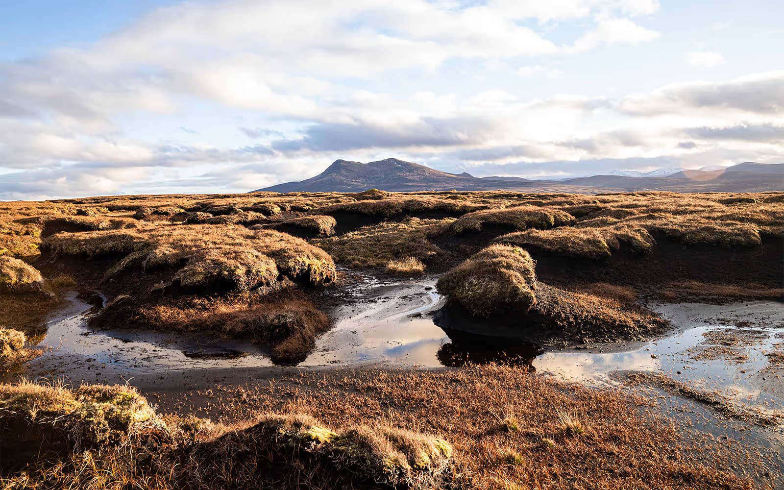 Environment & Sustainability